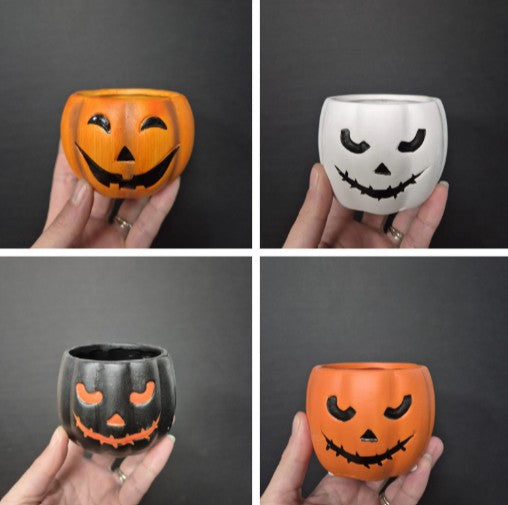 Ceramic Pumpkin Pot & Plant Bundle