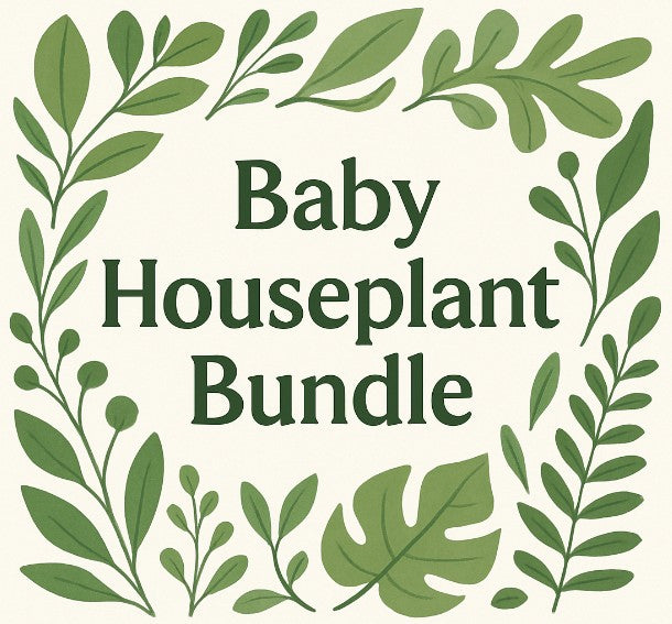 Baby Houseplant Bundle