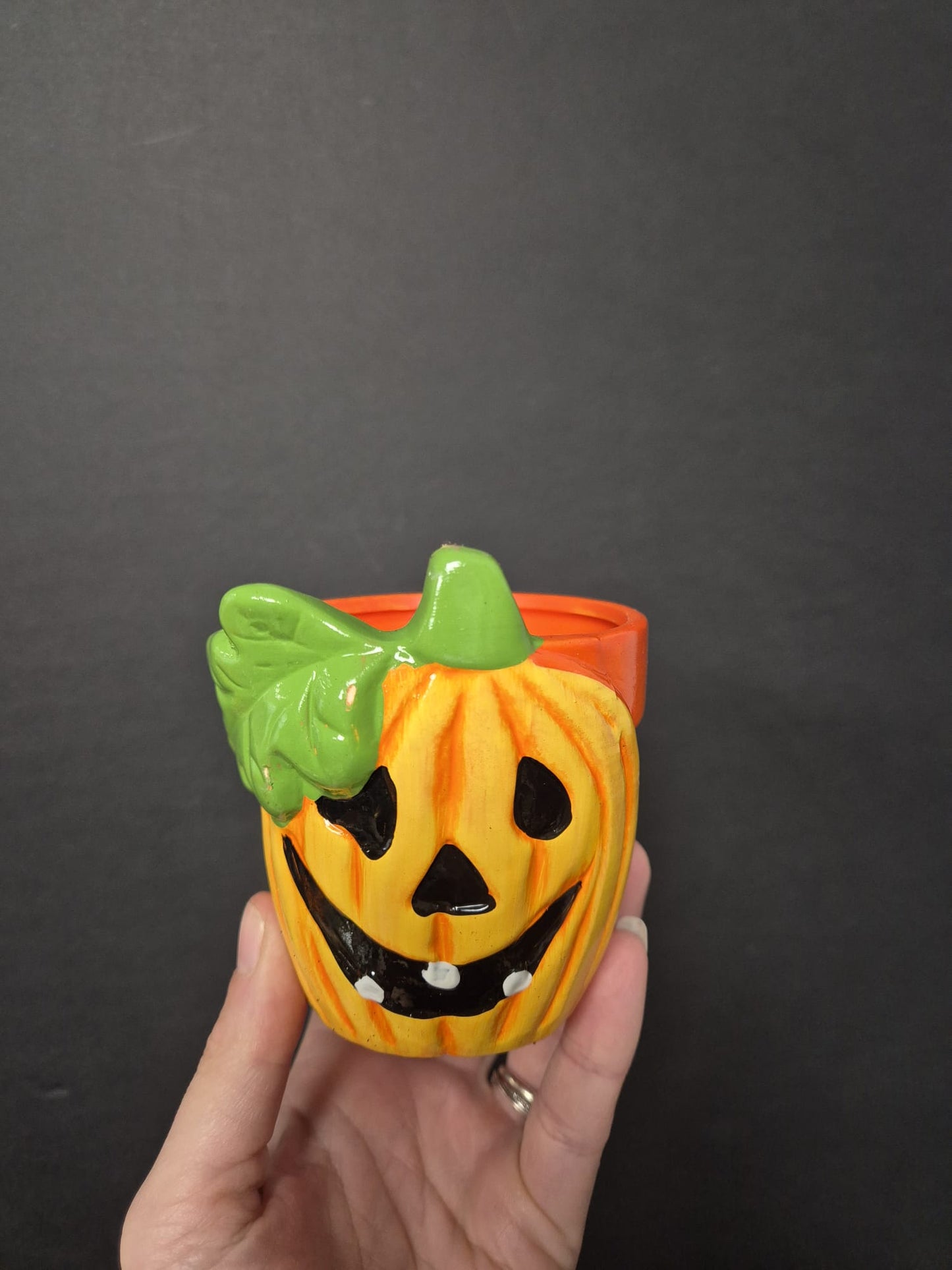 Ceramic Pumpkin Pot & Plant Bundle
