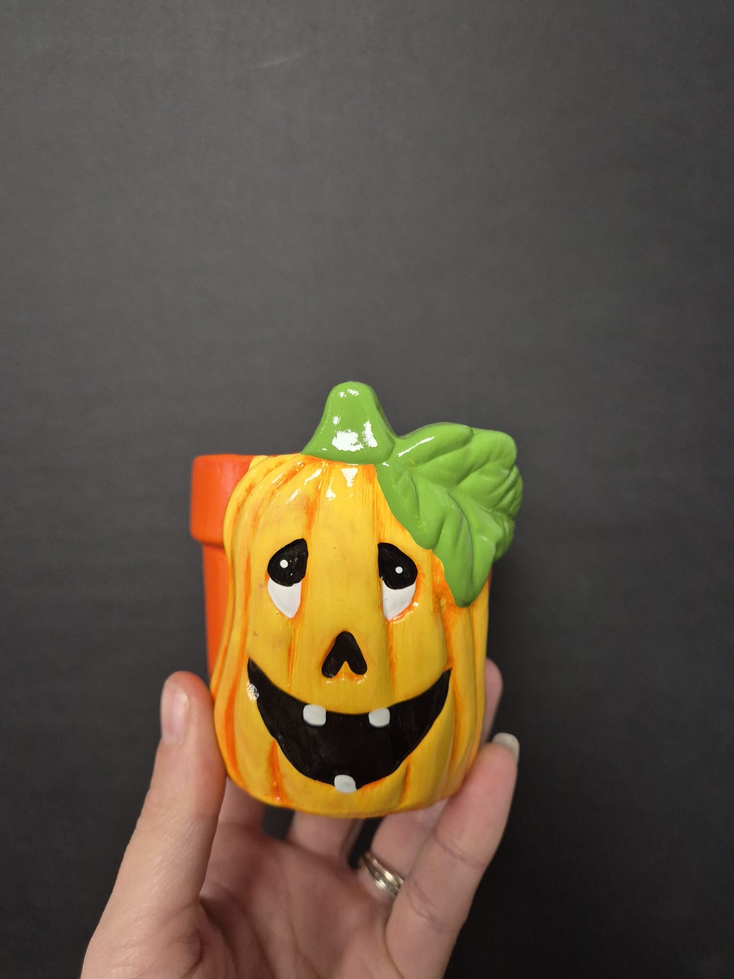 Ceramic Pumpkin Pot & Plant Bundle