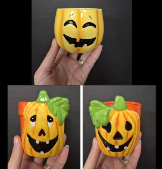 Ceramic Pumpkin Pot & Plant Bundle