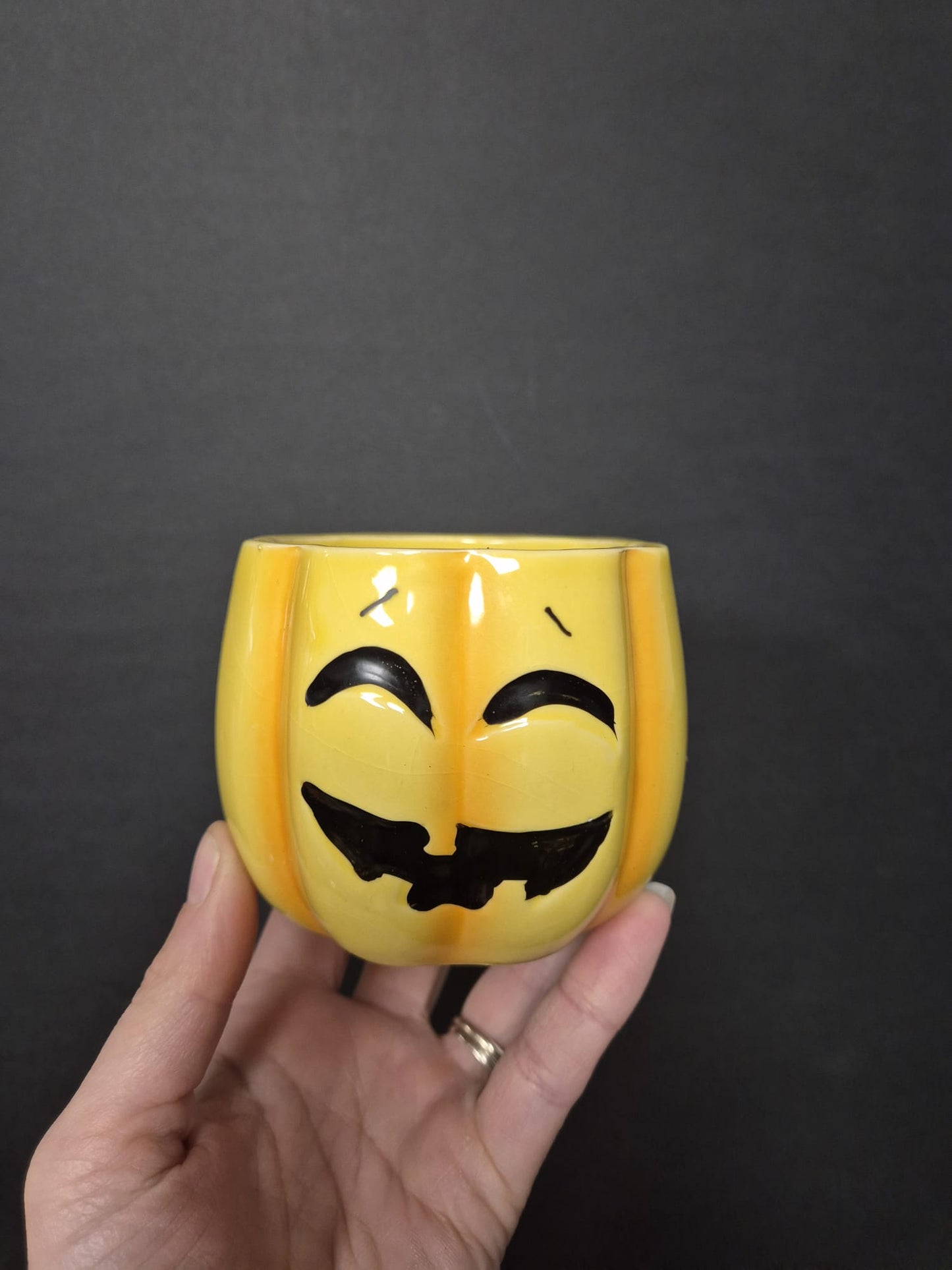 Ceramic Pumpkin Pot & Plant Bundle