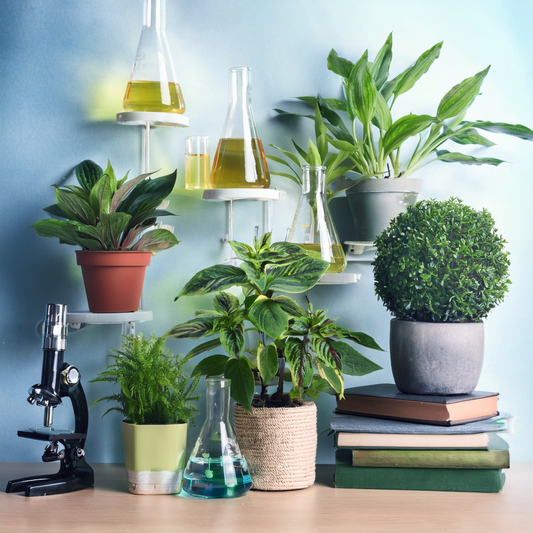 houseplants stacked on books on top of a desk with test tubes and microscope