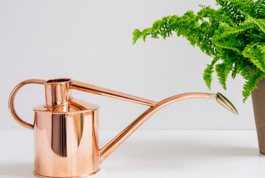 bronze watering can sitting to the left of a partial image of a fern