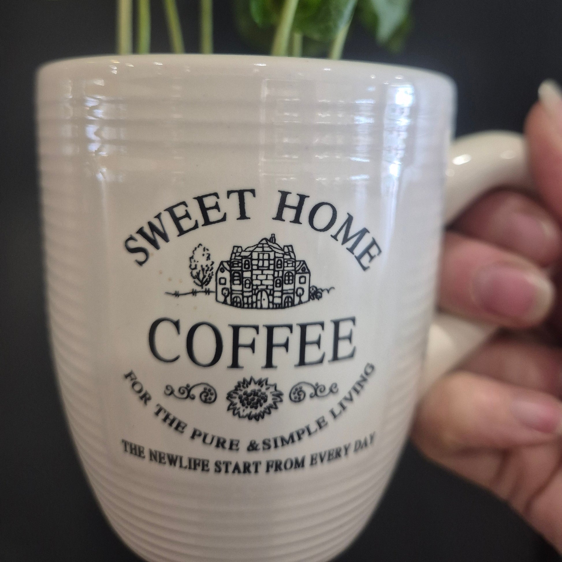 A hand holding a cream-colored ceramic coffee mug with black printed text that reads 'SWEET HOME COFFEE' and a small house illustration, with green leaves visible on the left side.
