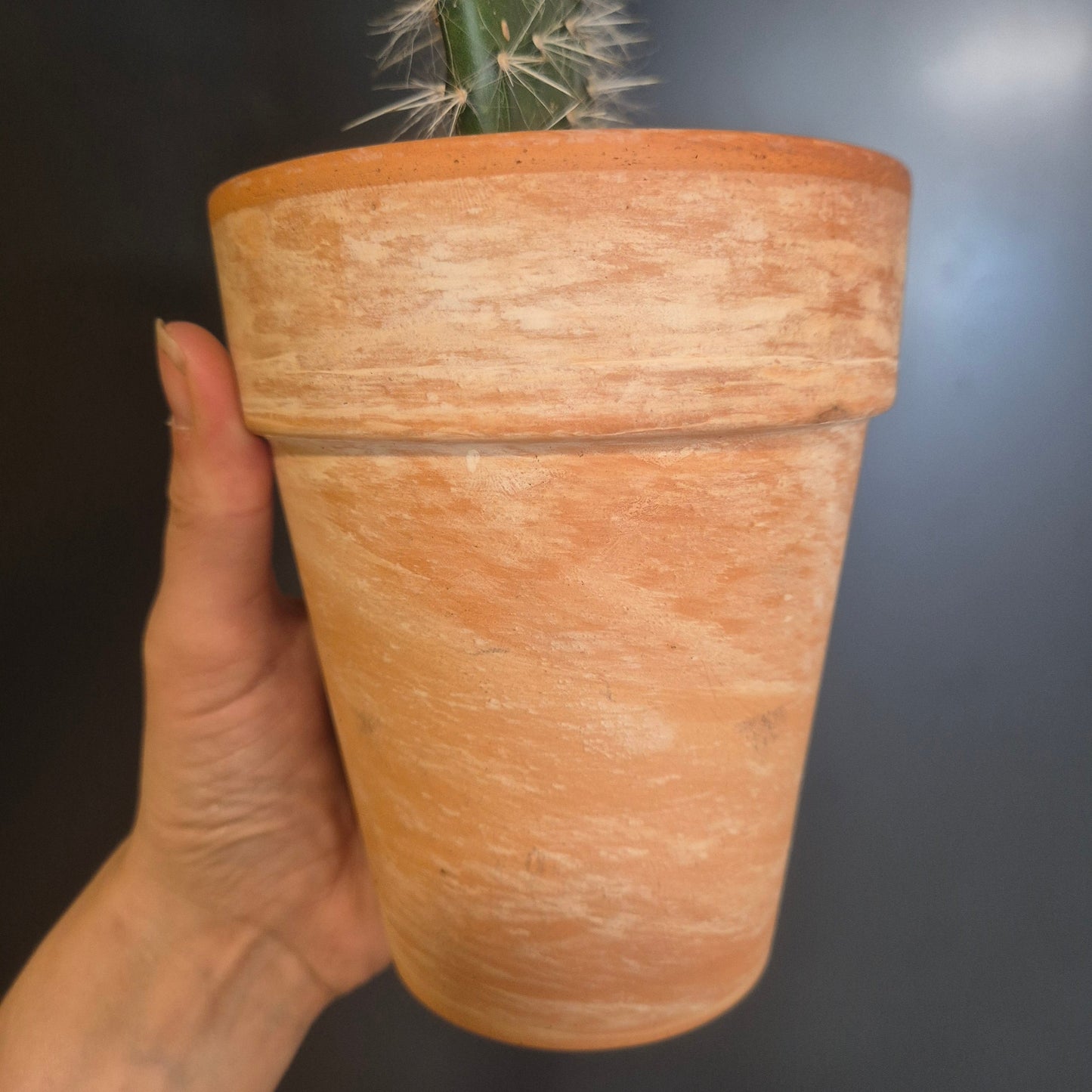 A hand holding a terracotta clay pot against a dark grey background, with a small cactus visible on the left edge.