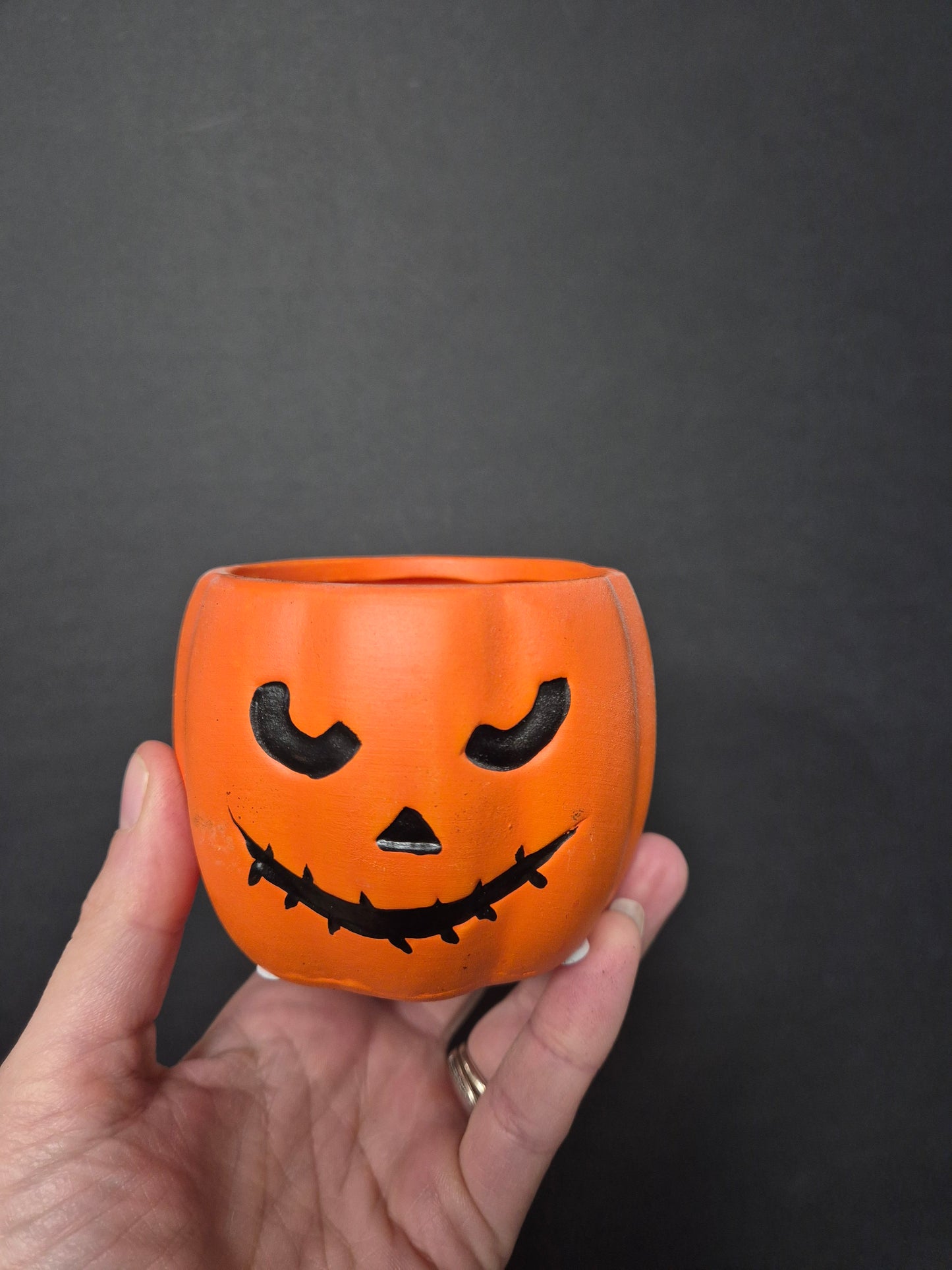 Ceramic Pumpkin Pot & Plant Bundle