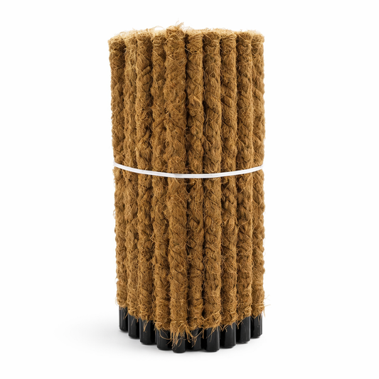 Brown textured cylindrical object with black base on a white background
