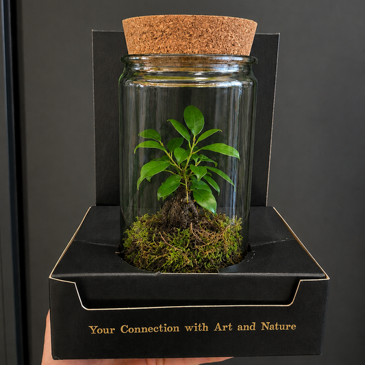 Glass jar with a plant and cork lid on a black stand with text.