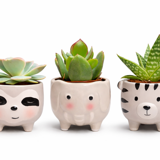 Three small planters shaped like animal faces with succulents on a white background