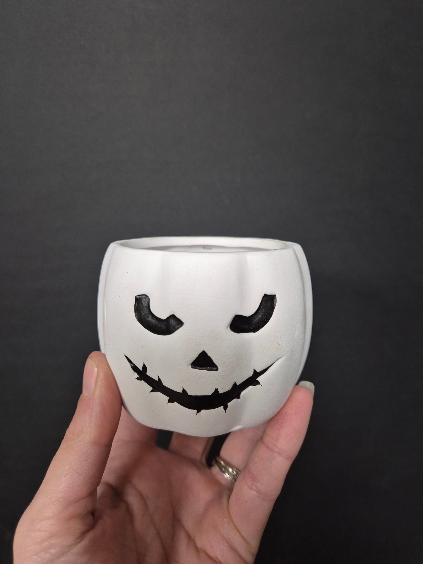 Ceramic Pumpkin Pot & Plant Bundle